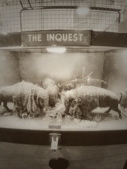 The Inquest coin-operated diorama