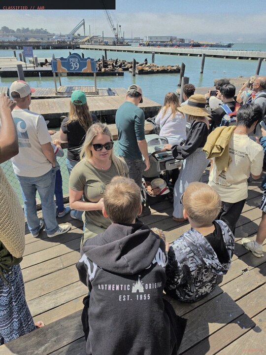 Safety brief before meeting the sea lions